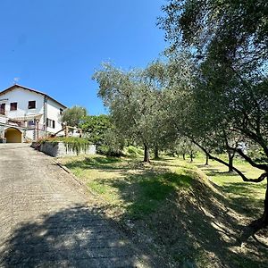 Agriturismo Uliveto Bartolomeo